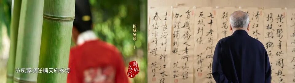 《国脉家珍》：讲述450年历史的范家故事，邀您共赴诗意之旅_fororder_444