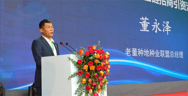 老董种地：助力东西部协作共赢，推动乡村振兴致富