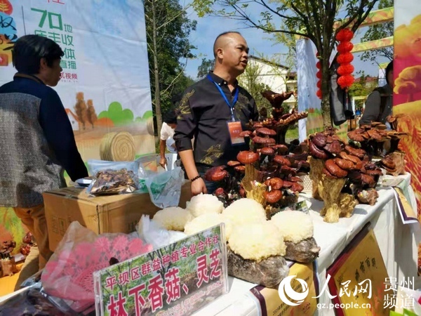 （副头条）2019农交会闭幕：观展人数突破39.8万人次 签约总金额达32.59亿元