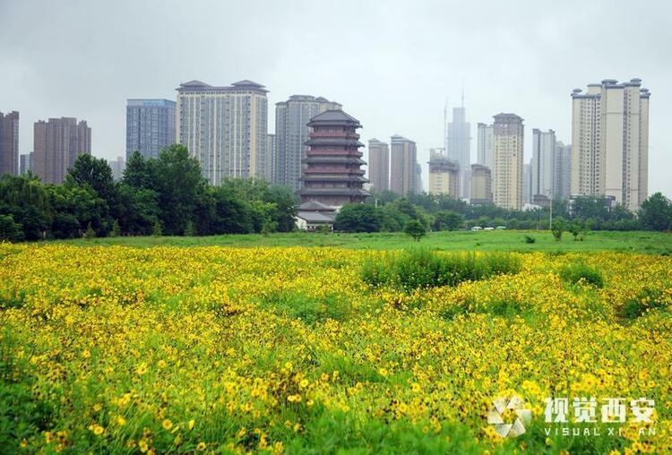 雨后汉城湖清新自然
