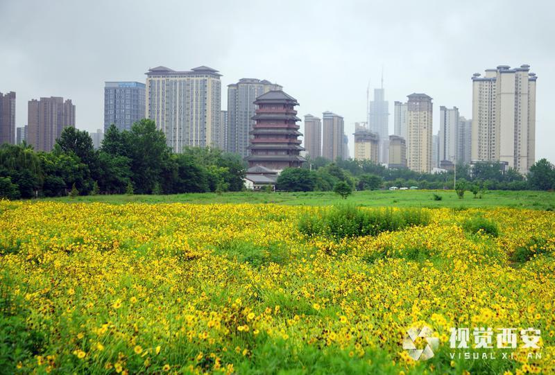 雨后汉城湖清新自然