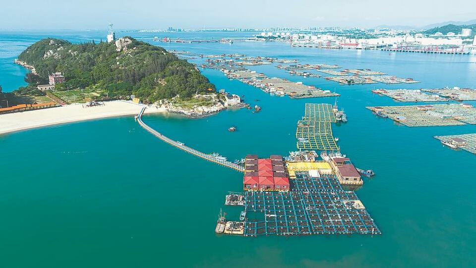 泉州惠屿蝶变：换个方式“靠海吃海”_fororder_cbf7fc47-3eb0-427d-a849-0f54e468f14f