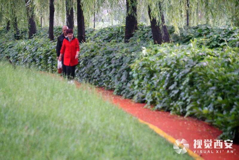 雨后汉城湖清新自然
