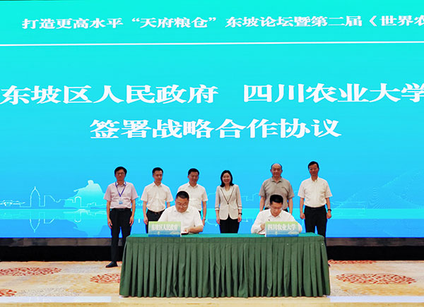 （张）眉山：首届打造更高水平“天府粮仓”东坡论坛举行_fororder_活动现场-摄影-廖奎