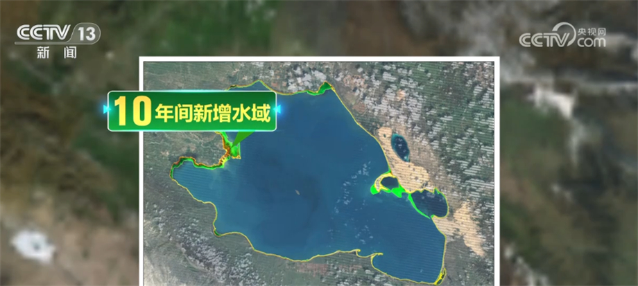 青海湖水域面积达到近十年来最大值 湟鱼洄游迎来高峰期
