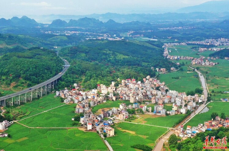 湖南蓝山：夏日田园秀美如画