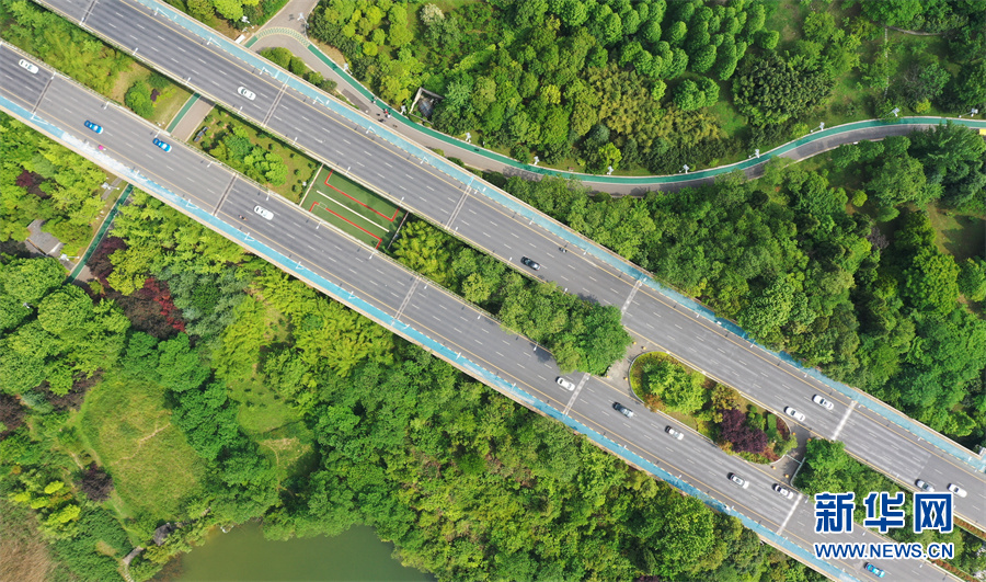 （中首）“快”看贵马赛道