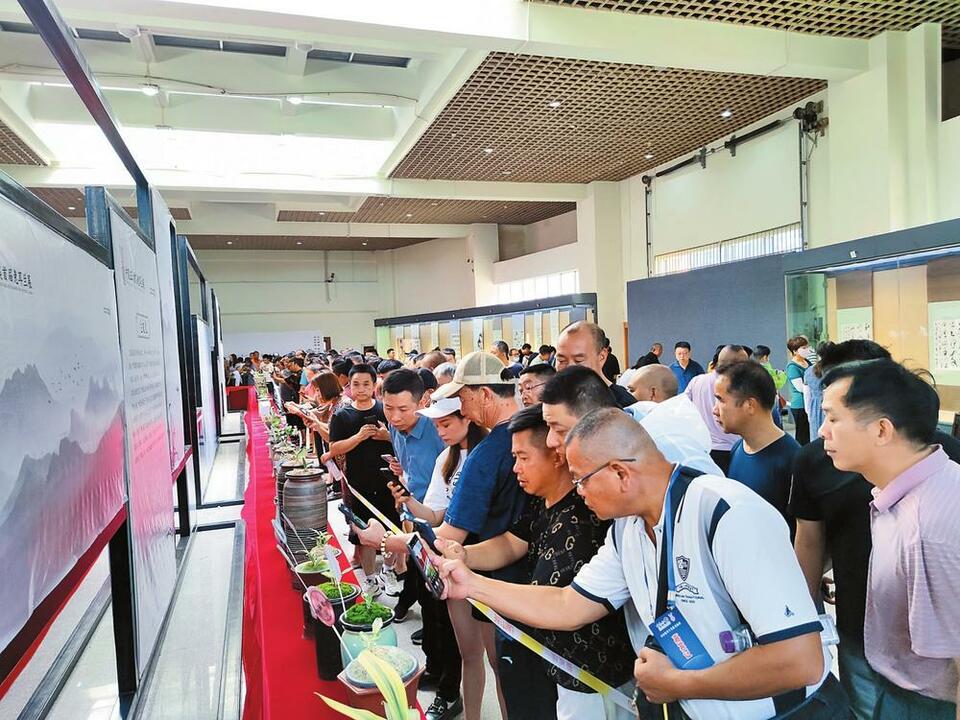 云台兔耳兰文化交流会在玉溪举办_fororder_fe27