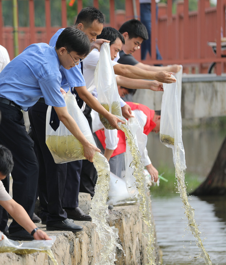 湖南道县：保护水环境 呵护母亲河_fororder_3