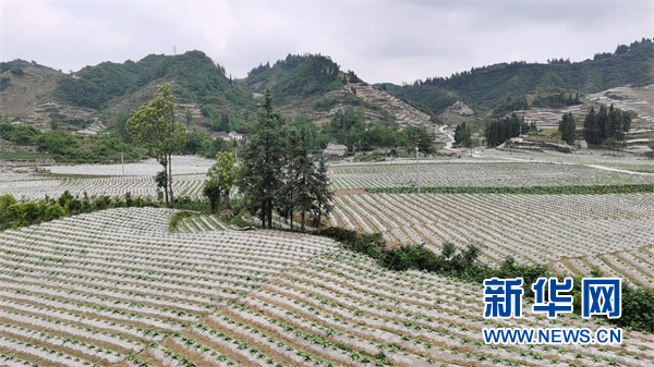六盘水中坝村：希望相伴 幸福前行
