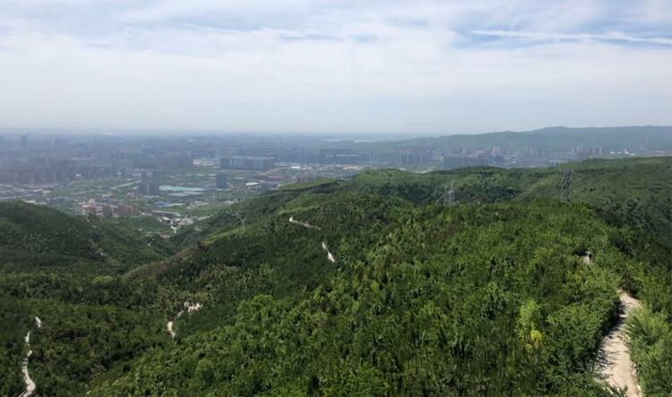 太原西山：荒山变“金山” “西山模式”擦亮绿色发展底色_fororder_1