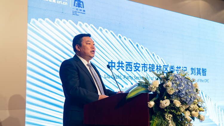 驻华外交官共话夜碑林_fororder_图片21