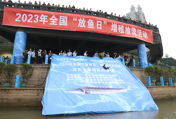 （张）宜宾翠屏区举行2023年全国“放鱼日”增殖放流活动_fororder_放流现场-摄影-杨晓川