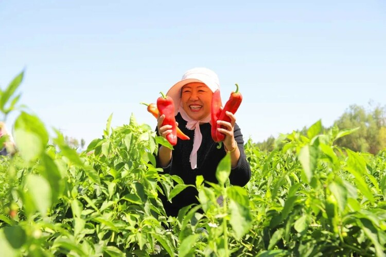 鄂托克前旗：发展智慧高效节水现代农牧业护好水资源_fororder_22