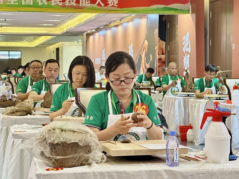 第一届全国农民技能大赛在山东聊城举行