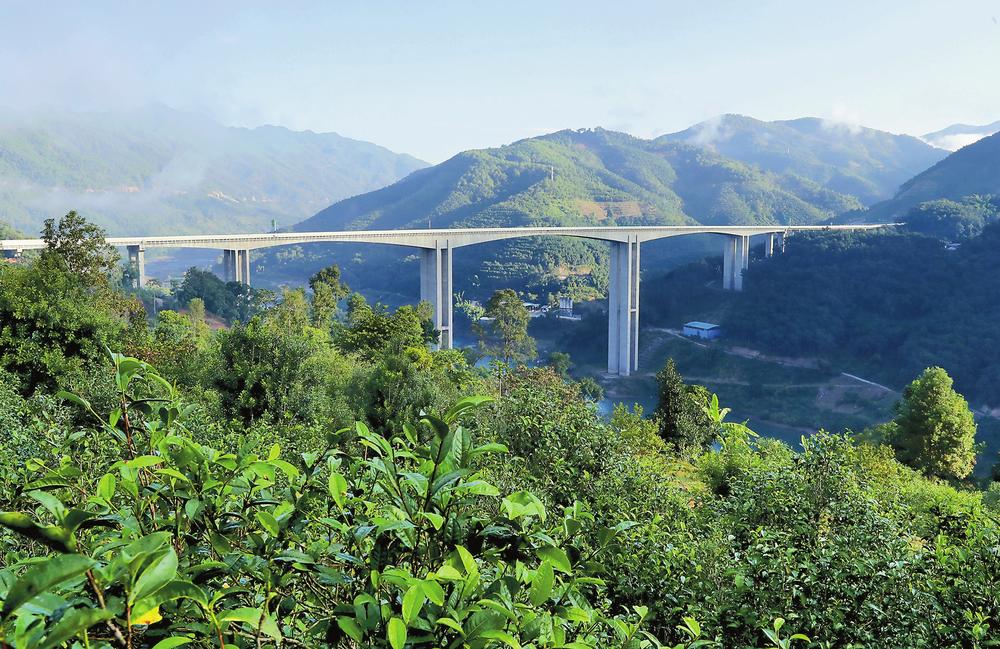 探访临沧昔归古茶园 品味茶乡好风光_fororder_d8d2