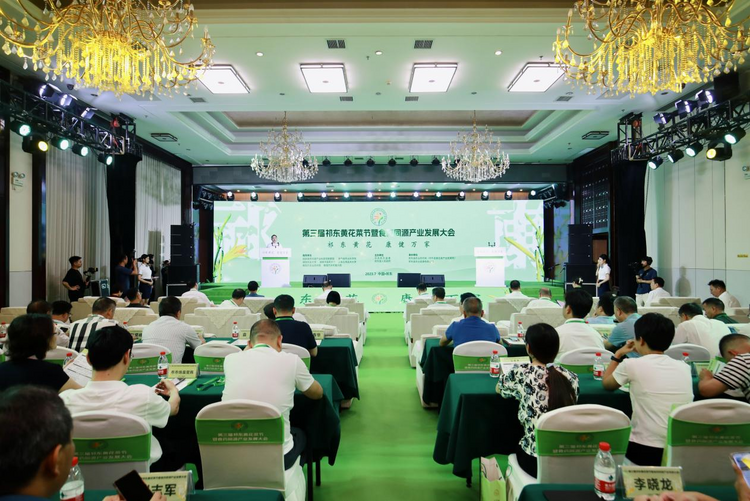 湖南祁东举办第三届黄花菜节暨食药同源产业发展大会_fororder_图片1
