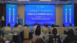 黄河流域九省（区）青年发展型城市（县域）论坛在银川举行