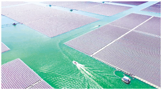 全省最高！德州新能源发电量占全社会用电量的55.6%