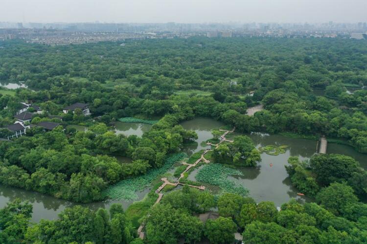 奋力谱写中国式现代化的浙江篇章——写在“八八战略”实施20年之际_fororder_微信截图_20230710082707
