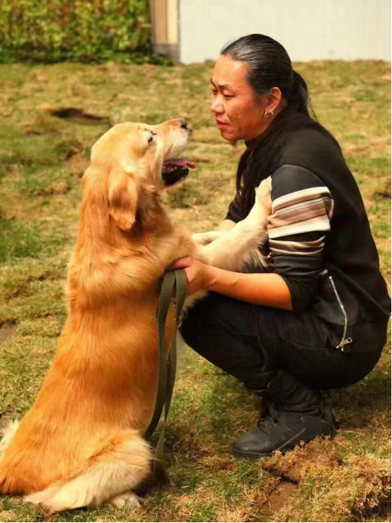 训练狗狗沟通最重要——专访资深训犬师翟君_fororder_1