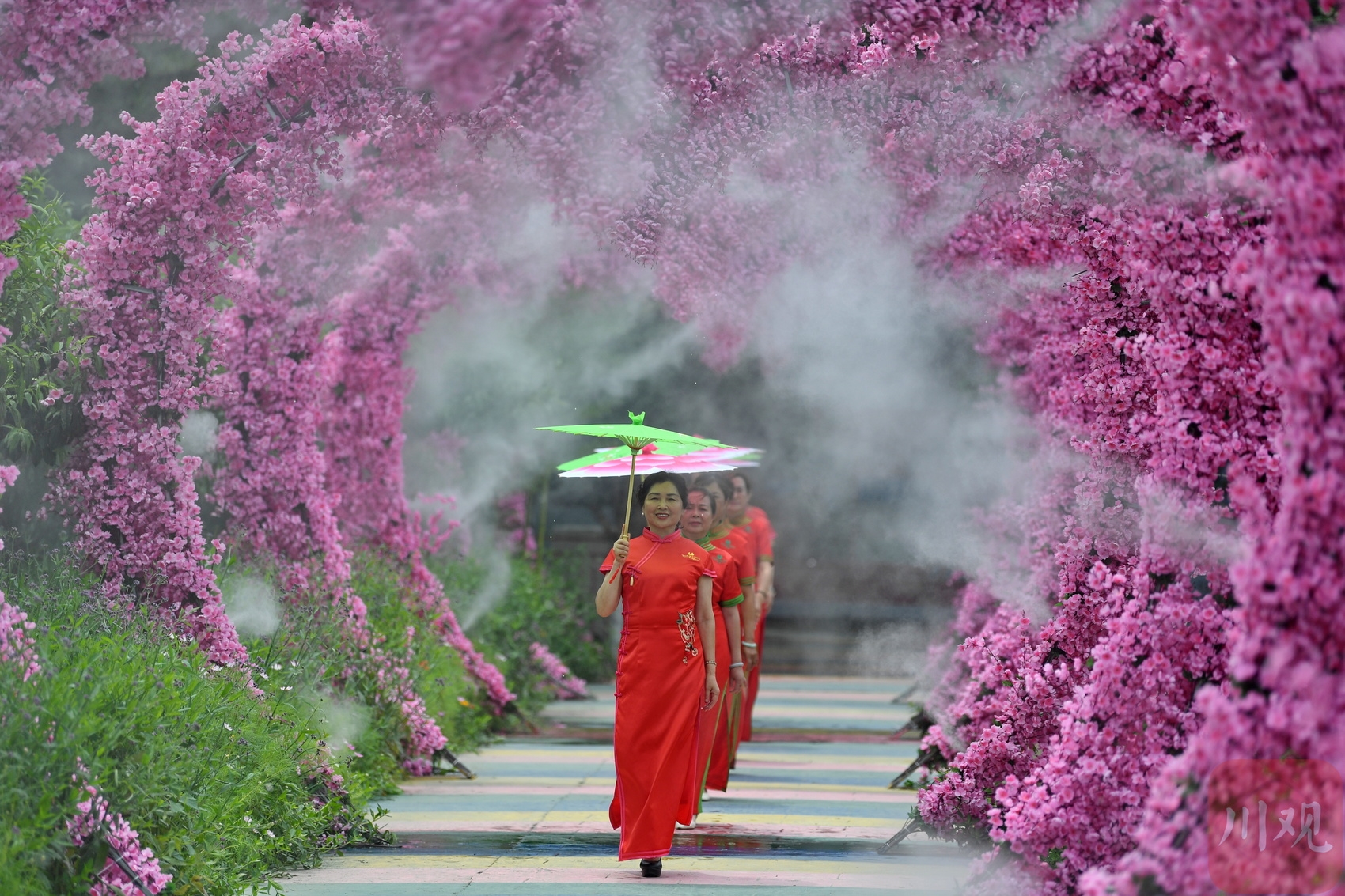（转载）成都：荷花迎来最佳观赏期 乡村美景引客来