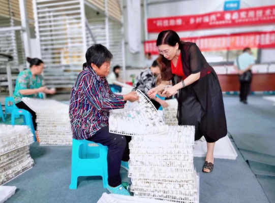 【原创】2023中国（重庆）蚕桑丝绸产业高质量发展大会将在奉节举行_fororder_微信图片_20230615113127