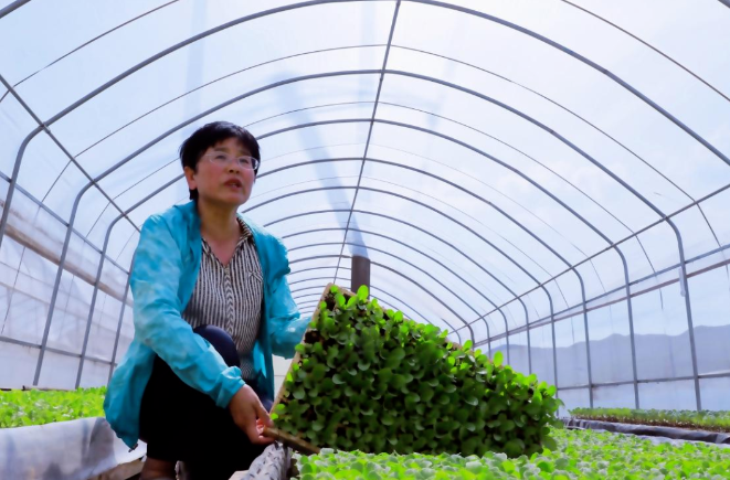 走出杨凌看示范 | 高山蔬菜精“耕”记_fororder_微信图片_20230615173247