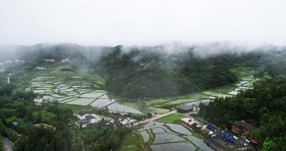 【原创】重庆石柱·冷水第八届莼菜产业发展大会举行_fororder_微信图片_20230718100018