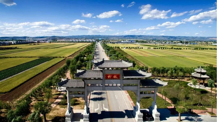 “引文入酒” 产区文化丰富柳林酒文化谱系_fororder_图片6