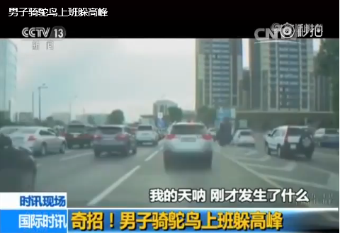 这很冯小刚！男子骑鸵鸟上班躲高峰
