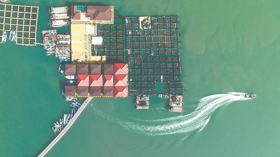 泉州惠屿蝶变：换个方式“靠海吃海”_fororder_93e2d8ca-4424-4c43-b066-7d819ed113b6