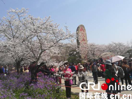 【图说荆楚】【CRI原创】赏花地图已呈现 一路看尽湖北繁花
