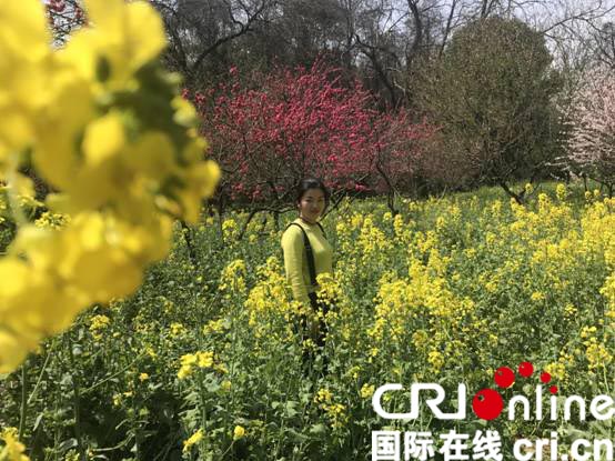 【图说荆楚】【CRI原创】赏花地图已呈现 一路看尽湖北繁花