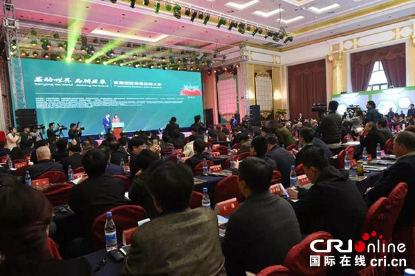 【供稿待审】农业丨国际草莓品牌大会在溧水举办（生态建设）