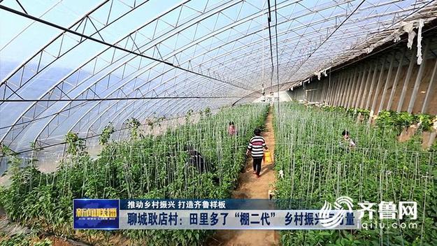 聊城耿店村：田里多了“棚二代” 乡村振兴有力量