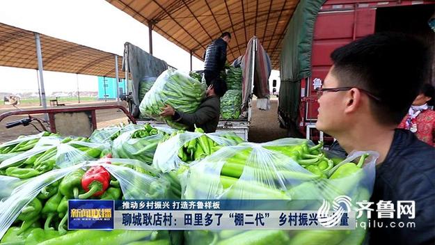 聊城耿店村：田里多了“棚二代” 乡村振兴有力量