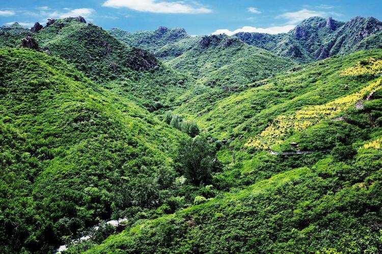 朝阳：夏日避暑，森林旅游成首选