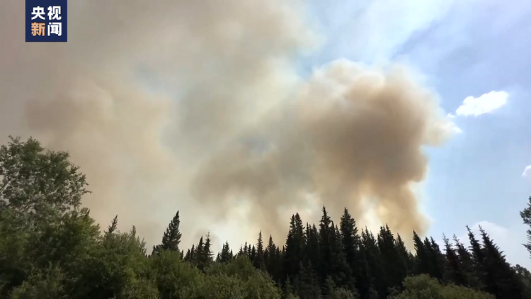 受加拿大森林火灾影响 美国多地空气污染严重 疾控中心发布警告
