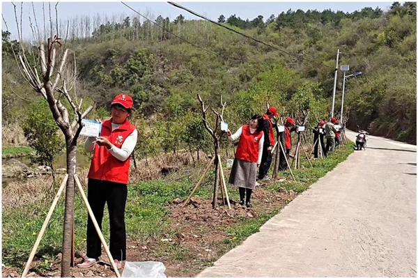 荆门市桑垭村：发展不忘生态 5000亩野樱花海成为网红打卡地_fororder_图片7