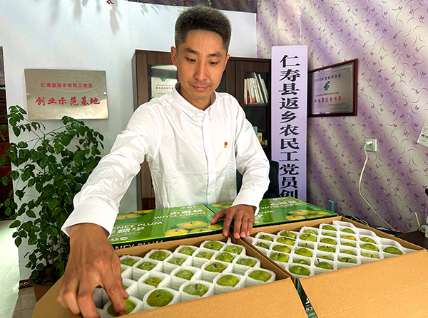 （张）眉山仁寿：乡村广阔天地间 返乡创业正当时_fororder_董晓勇在装箱网销的水果-供图-仁寿县委宣传部