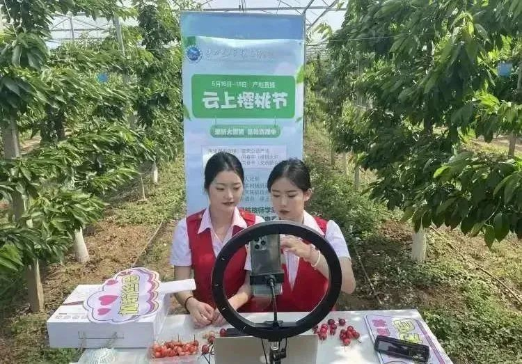 西安市灞桥区：点下“快进键” 推动营商环境新突破_fororder_1690797656976