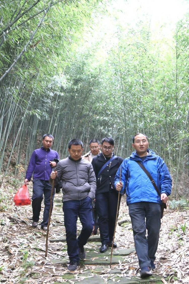 （转载）西华师大蜀道研究院院长金生杨教授：“蜀道”是一座治蜀兴川的“金矿”