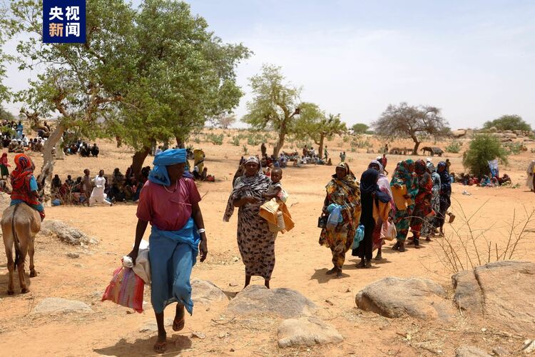 国际移民组织：苏丹武装冲突已致超过394万人流离失所
