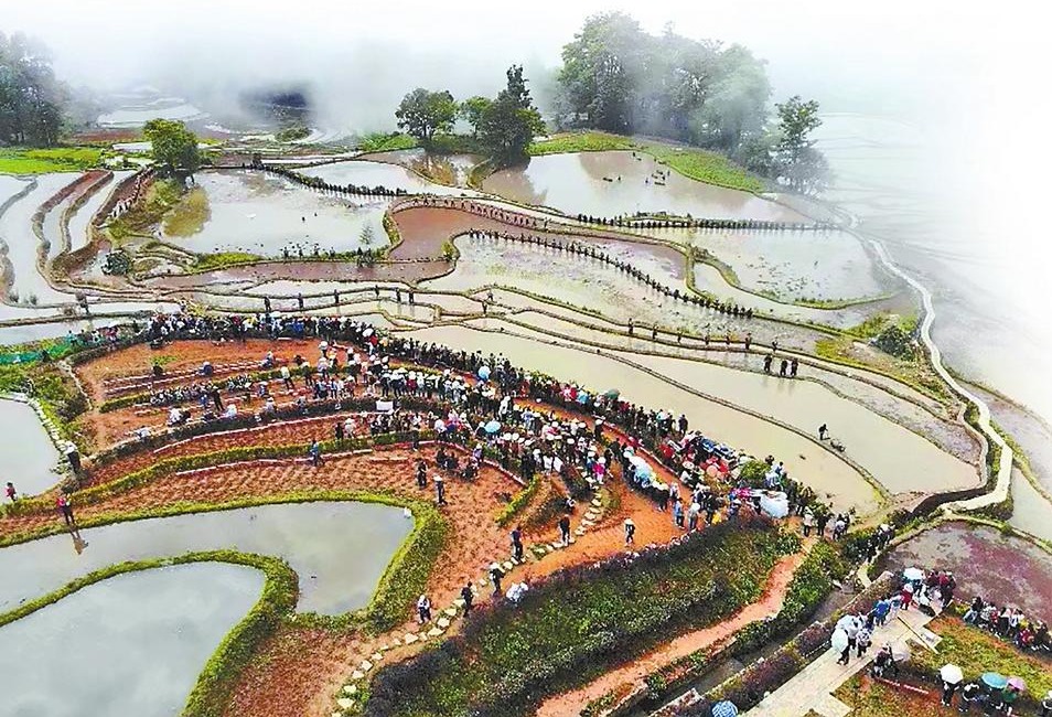 红河元阳：传承乡土文化 深耕哈尼梯田_fororder_a28c