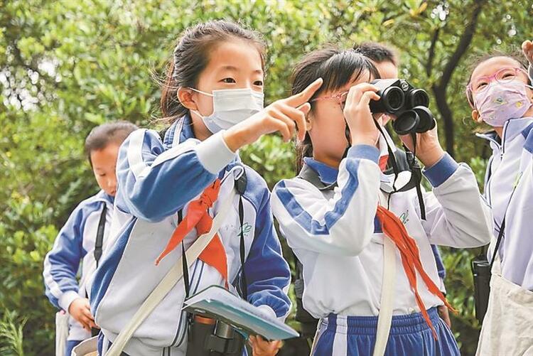 中国湿地教育CEPA国际研讨会落户福田_fororder_微信图片_20230707154327