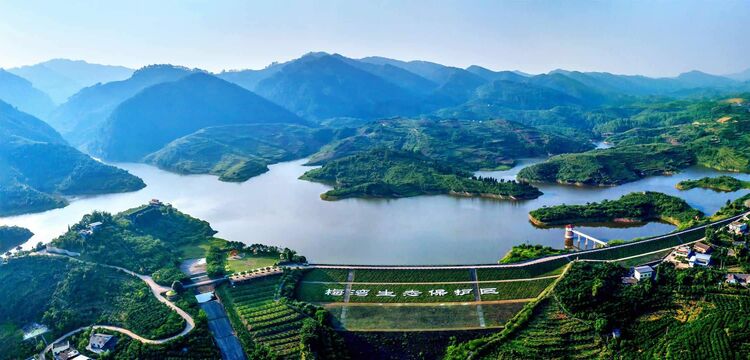 （张）眉山市首部区县水利建设成就文史专辑《丹心水润·丹棱县水利建设成就文史专辑》面世_fororder_丹棱梅湾生态保护区 供图 丹棱县委宣传部