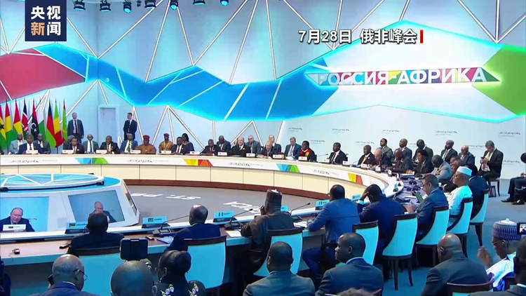 俄总统与非洲国家领导人发布联合声明 表示人道主义问题已取得进展