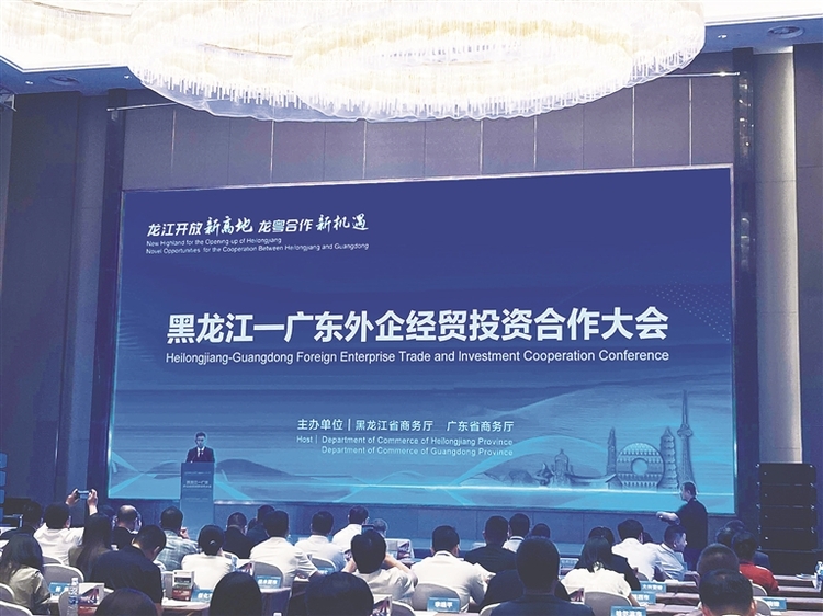 你提需求我拿项目 龙粤两地对接忙
