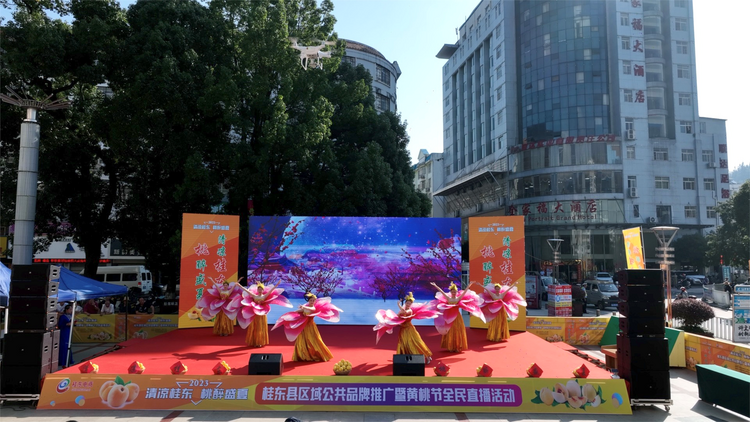 湖南桂东举办区域公共品牌推广暨黄桃节全民直播活动_fororder_图片1